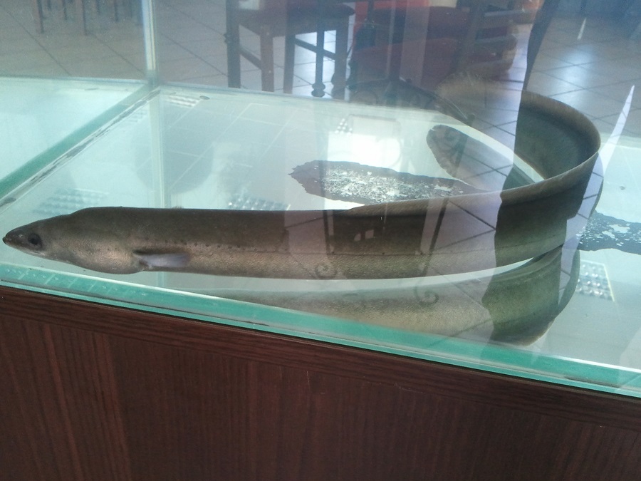 Galeria zdjęć